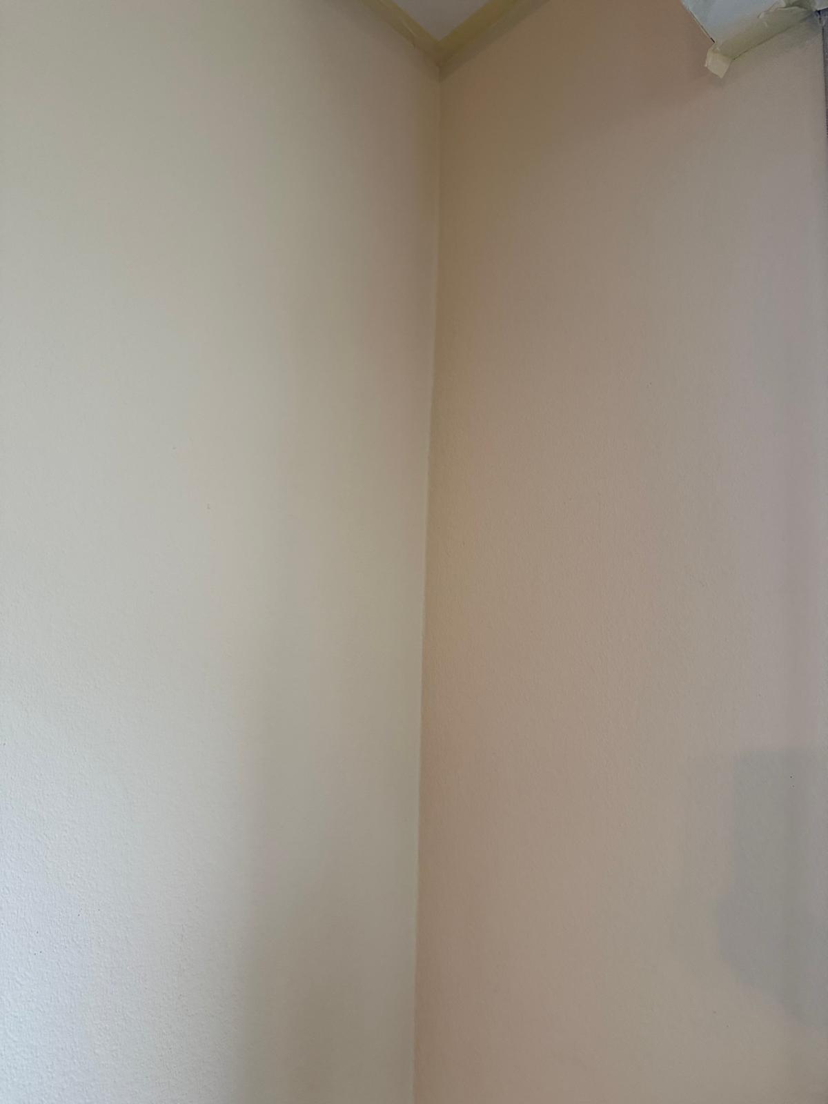 Fertig gestrichener Raum
